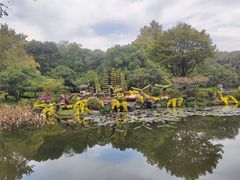 -杭州植物园