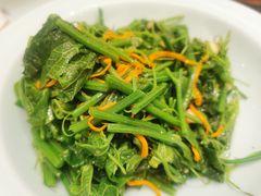 -燕郊烧鸽子(酷车小镇店)