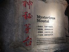 -中国酒文化城