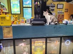 -谜盒子奇幻密室(南屏店)