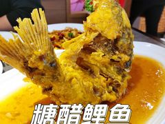 糖醋鲤鱼-闫府私房菜·百年鲁菜(恒隆店)