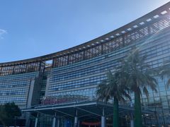 -上海中医药大学附属曙光医院(东部)