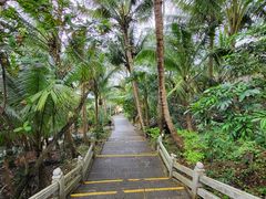 -海南分界洲岛旅游区