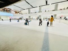 -TheRink大零溜冰场(IFS国金中心店)