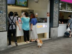 门面-CoCo都可(骆家庄新店)