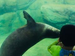 -福州罗源湾海洋世界旅游区