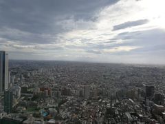 -东京都厅舍