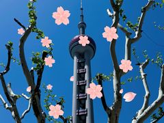 -东方明珠广播电视塔