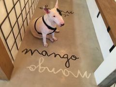-Make Me Mango Tha Tian