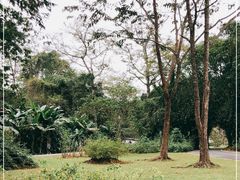 -中国科学院西双版纳热带植物园