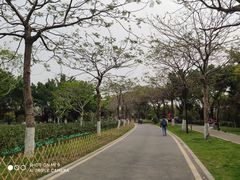 -海珠湖公园