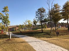 -上海长兴岛郊野公园