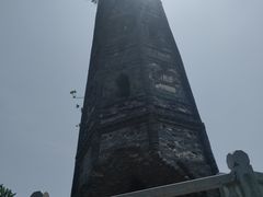 -上海佘山国家森林公园天马山园