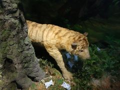 -李时珍纪念馆