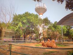 -广东茂名森林公园