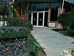 -爪吧宠物乐园·宠物泳池(温榆河示范区店)
