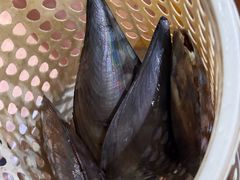 -小海豚•老字号海鲜餐厅(天涯店)