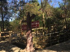 -广东大峡谷
