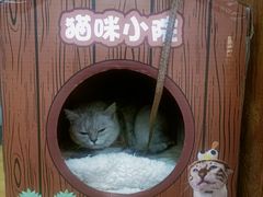 -兄弟鸡排.芋泥香酥鸭(淮海街店)