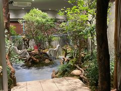 -森SPA·泰式按摩·精油Massage(宝安中心店)