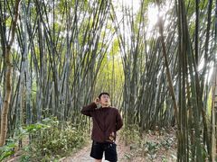 -金山植物公园