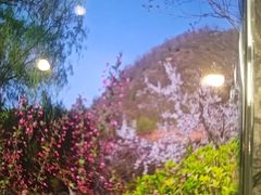 -麦积山温泉