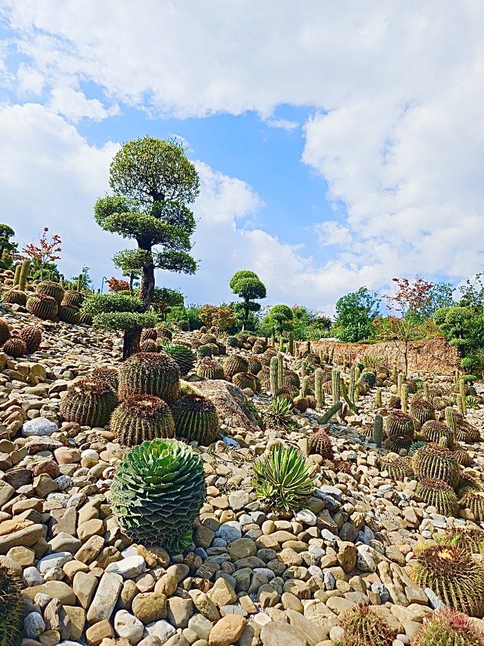 求求你们都去这个地方好吗!