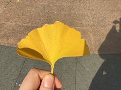 -柴爿巷·香酥鸡&馄饨(复兴中路店)