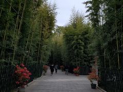 -红螺寺