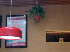 -真阿婆水饺(科技路西口店)