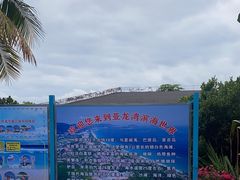 -亚龙湾热带天堂森林公园