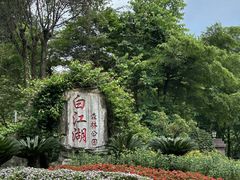 -广州白江湖森林公园