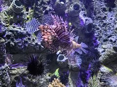 -太平洋海底世界