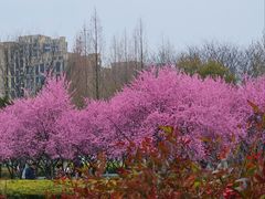 -白塘生态植物园