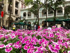 -星巴克臻选(广州沙面店)