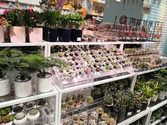 -KKV(深圳宏发大仟里店)