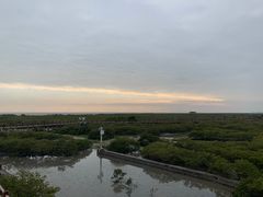 -北海金海湾红树林生态旅游区