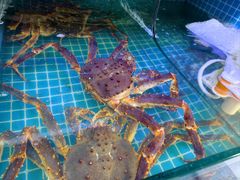 -震海贝烤贝·民俗特色店(延吉总店)