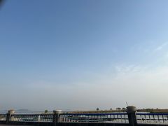 -合肥滨湖国家森林公园