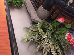 -红蜡烛-养生粥-津鲁菜(中山路店)