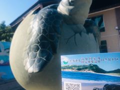 -广东惠东海龟国家级自然保护区