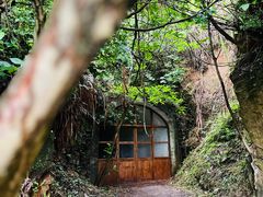 -东极岛景区