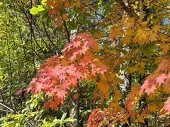 -五女峰国家森林公园