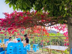 -金水泊山庄·花椒鸡(铁山坪店)
