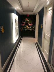 -法国安杰玛SPA会所