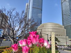 -港汇恒隆广场