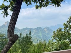 -沂蒙山旅游区云蒙景区(蒙山国家森林公园)