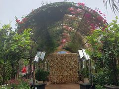 -The Grounds of Alexandria
