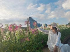 -玫瑰海岸文化旅游度假区