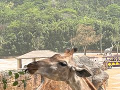 -杭州野生动物世界